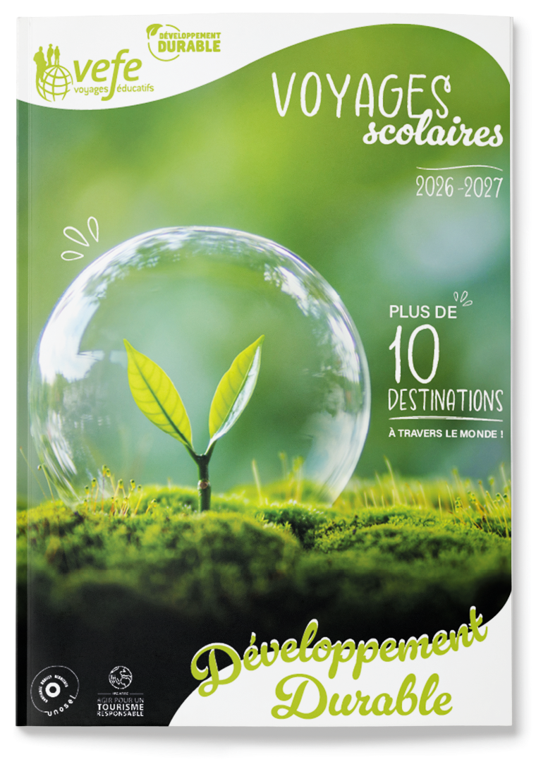 Consultez la brochure VEFE